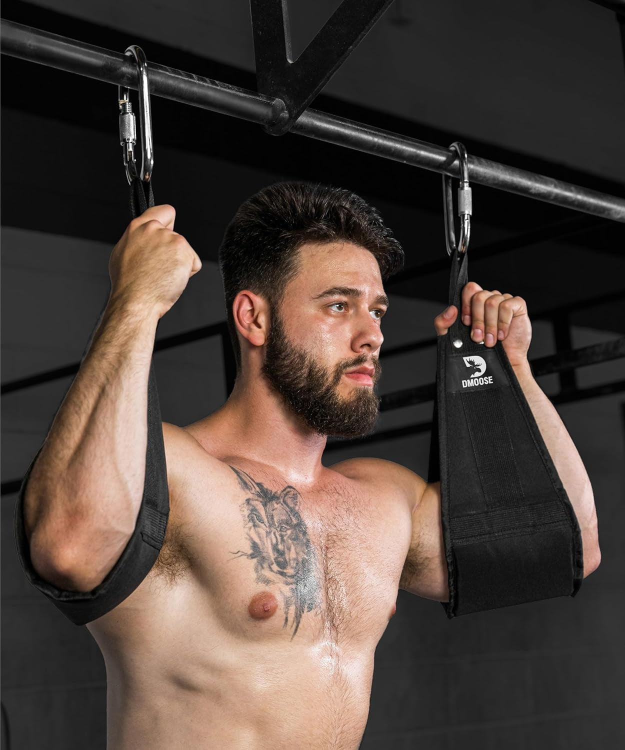 Hanging Ab Straps for Pull-Up Bars - Padded Exercise Straps for Core Strength Training, Includes 2 Steel Carabiners - Ideal for Home and Gym Use
